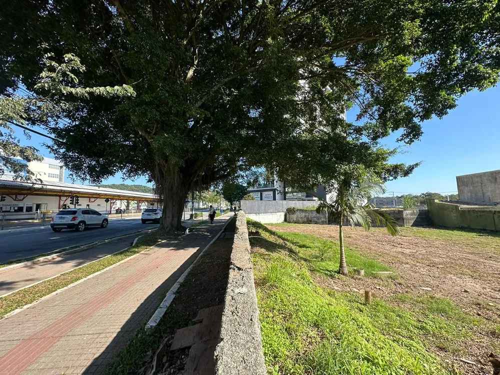Terreno - Foto 5