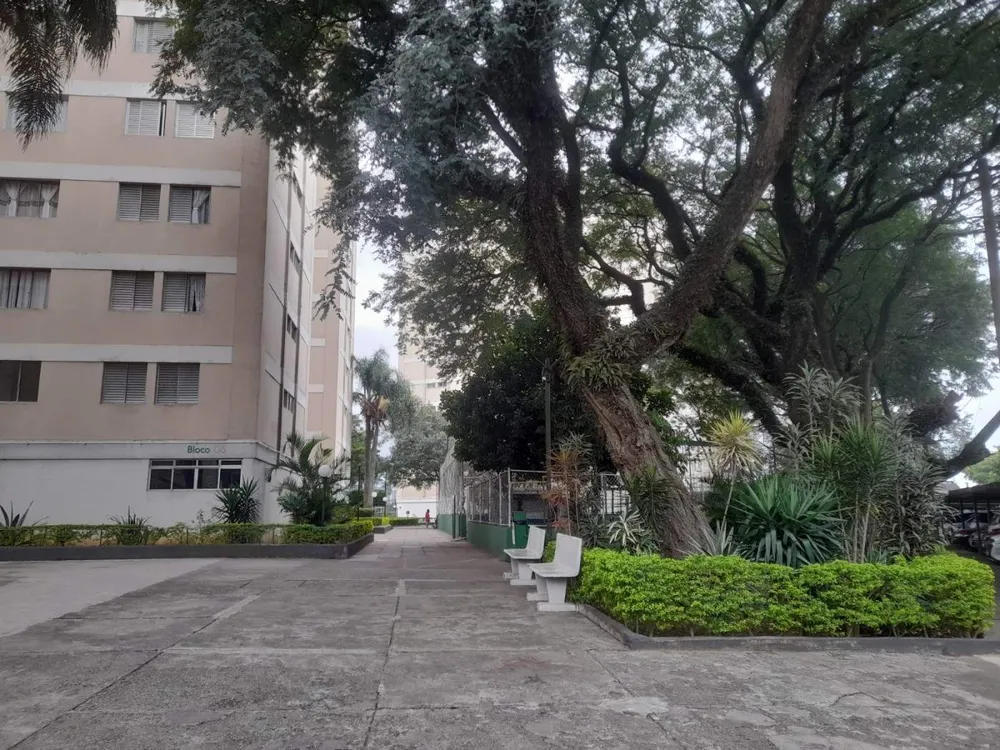 Apartamento, 3 quartos, 66 m² - Foto 2