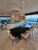 Apartamento, 4 quartos, 295 m² - Foto 2