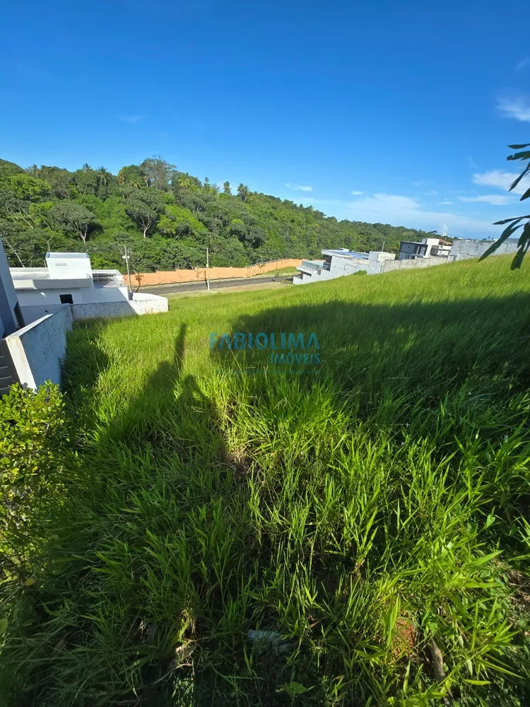 Terreno, 480 m² - Foto 3