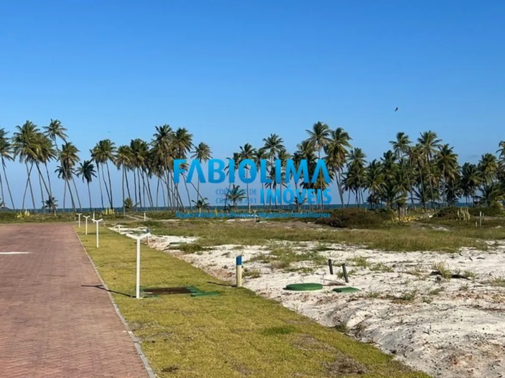 Terreno, 630 m² - Foto 6