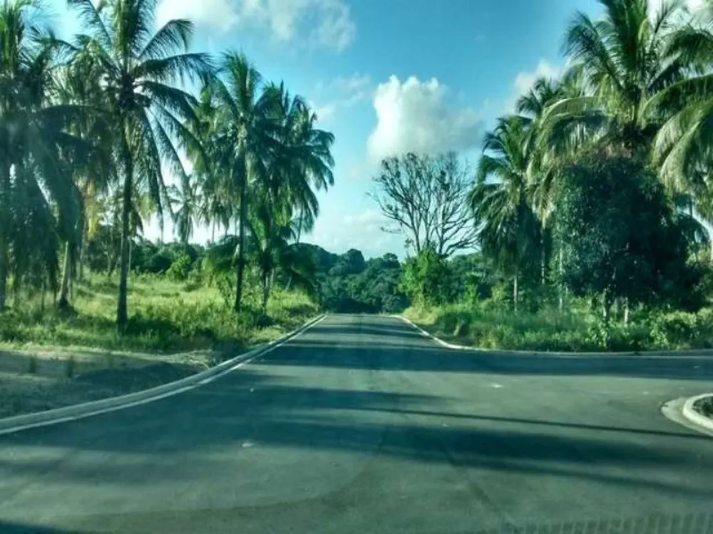 Terreno, 300 m² - Foto 1