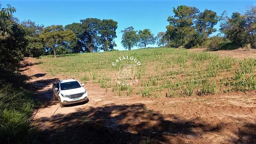 Sítio, 15 hectares - Foto 7