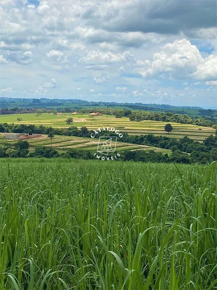 Sítio, 15 hectares - Foto 3