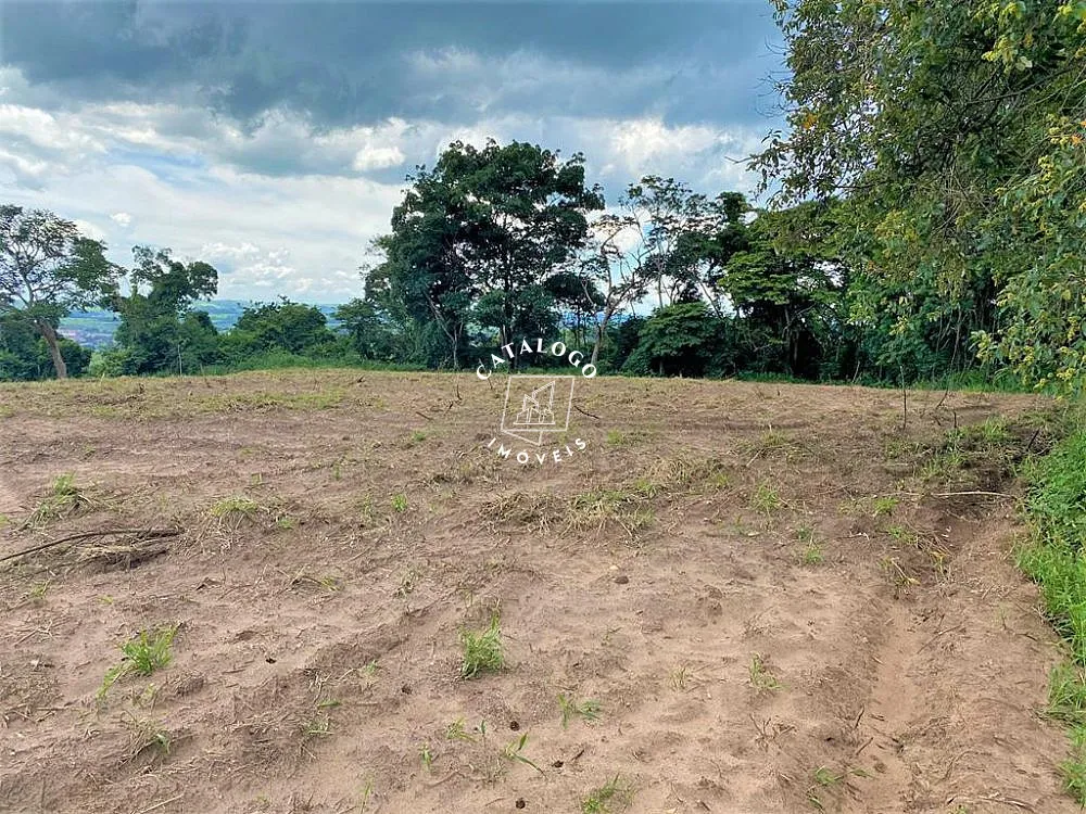 Sítio, 15 hectares - Foto 4