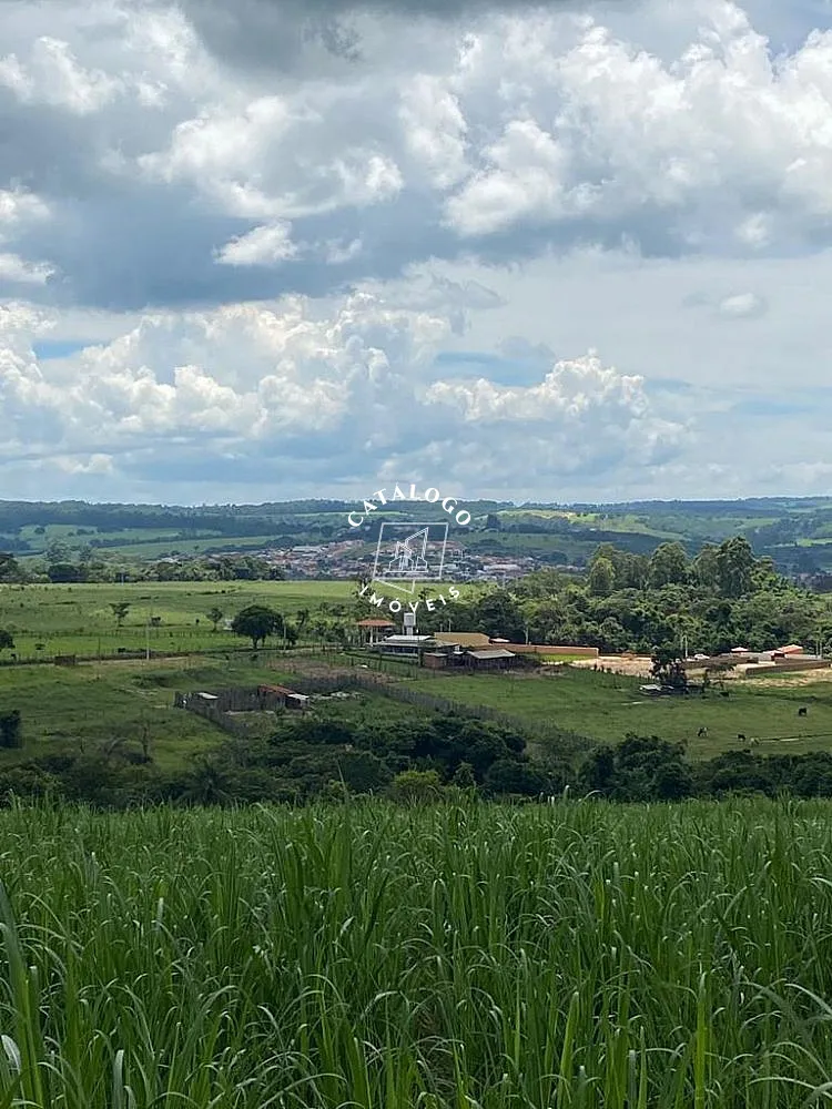 Sítio, 15 hectares - Foto 6