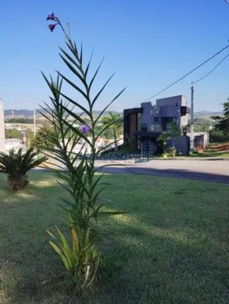 Terreno, 330 m² - Foto 6