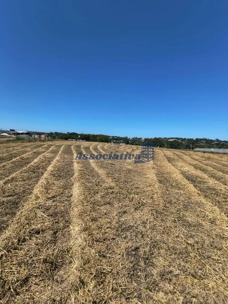 Terreno, 250 m² - Foto 2