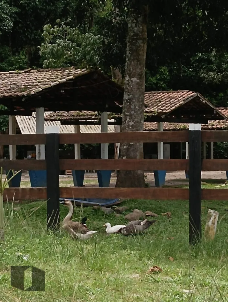 Apartamento, 1 quarto, 30 m² - Foto 17
