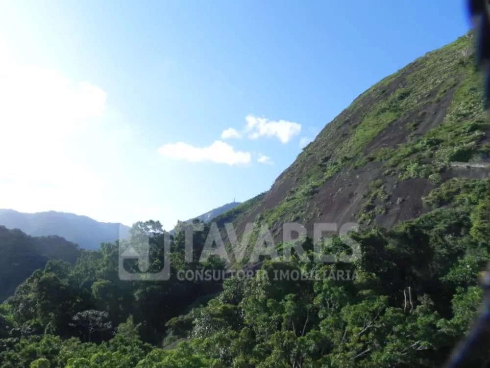 Apartamento, 4 quartos, 319 m² - Foto 28