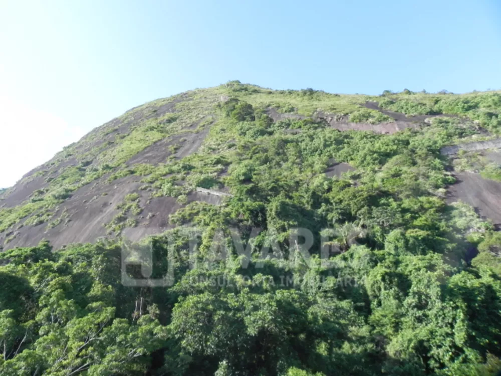 Apartamento, 4 quartos, 319 m² - Foto 47