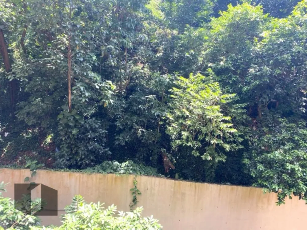 Apartamento, 4 quartos, 160 m² - Foto 12