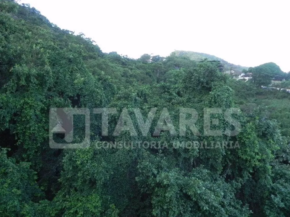 Cobertura, 3 quartos, 351 m² - Foto 29