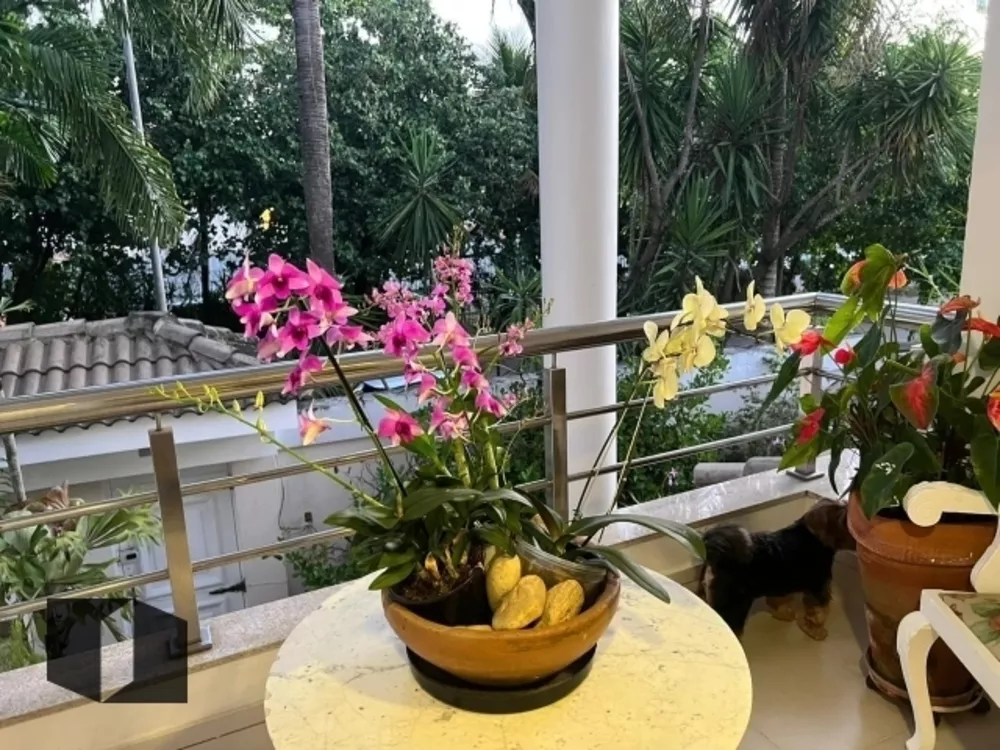 Casa, 4 quartos, 536 m² - Foto 30