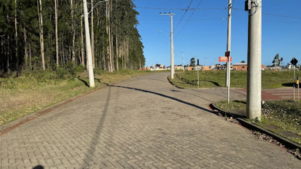 Terreno, 300 m² - Foto 6