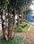 Flat/Apart Hotel, 1 quarto, 38 m² - Foto 2