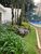 Flat/Apart Hotel, 1 quarto, 38 m² - Foto 1