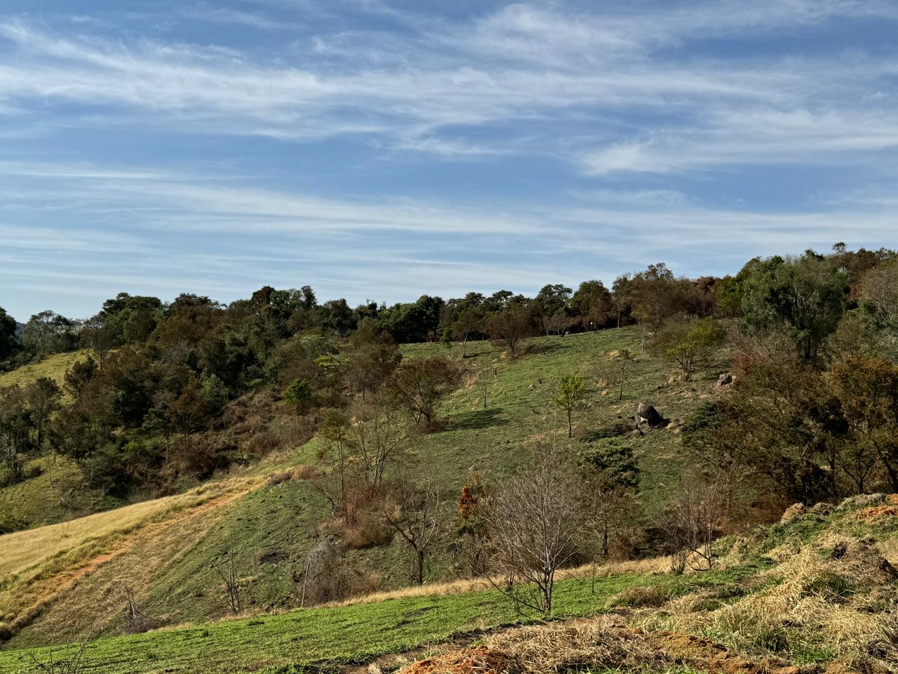 Terreno à venda, 500m² - Foto 3