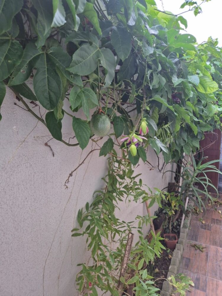 Casa, 3 quartos, 144 m² - Foto 15