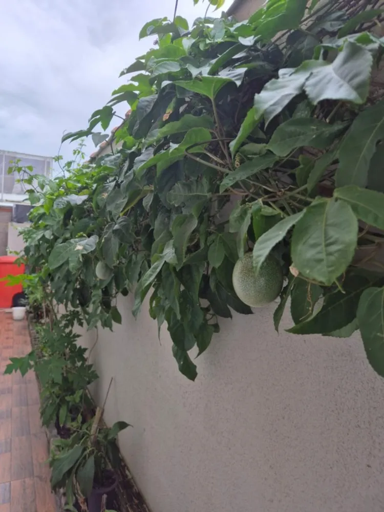 Casa, 3 quartos, 144 m² - Foto 19