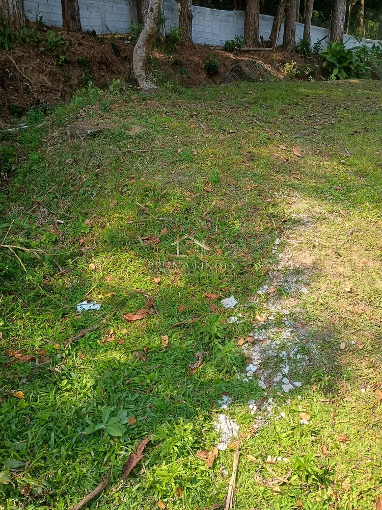 Terreno, 300 m² - Foto 1
