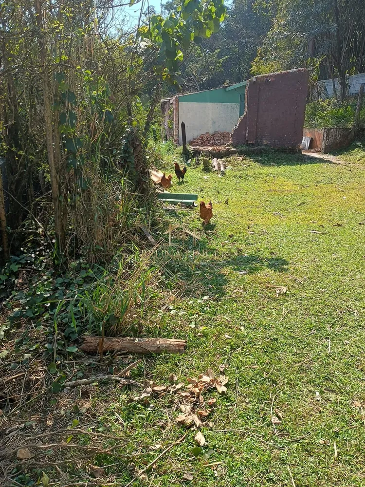 Terreno, 300 m² - Foto 6