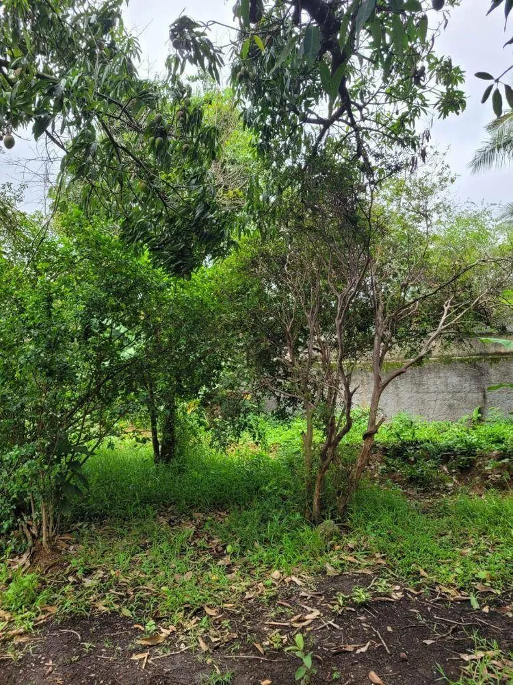 Terreno, 450 m² - Foto 3