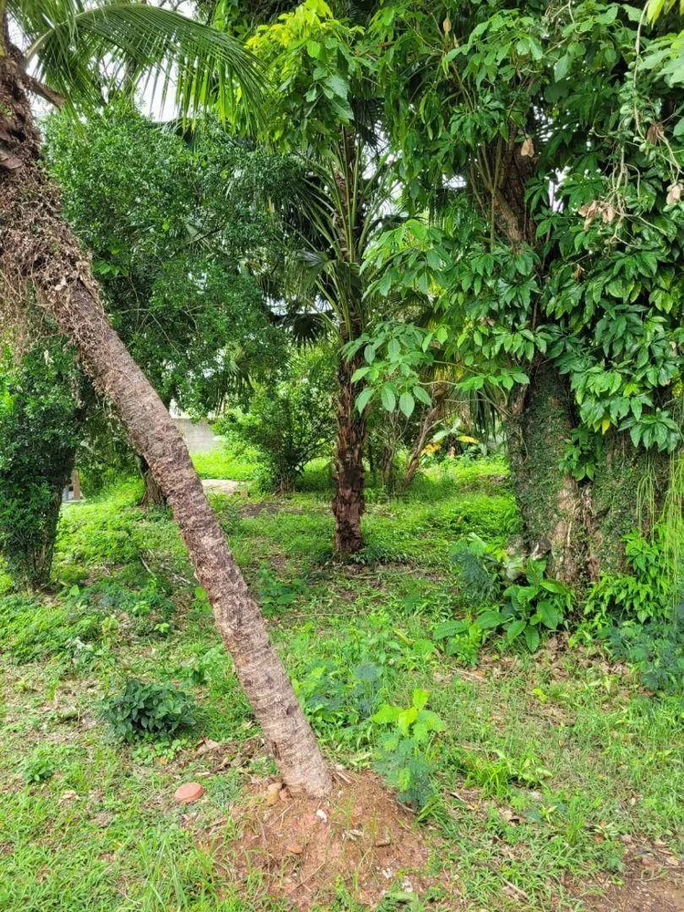 Terreno, 450 m² - Foto 7