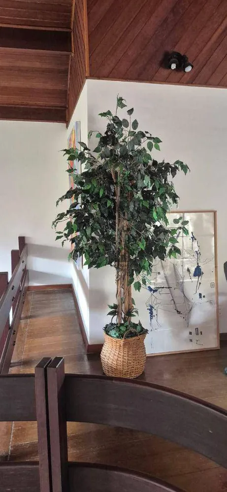 Casa, 4 quartos, 390 m² - Foto 35