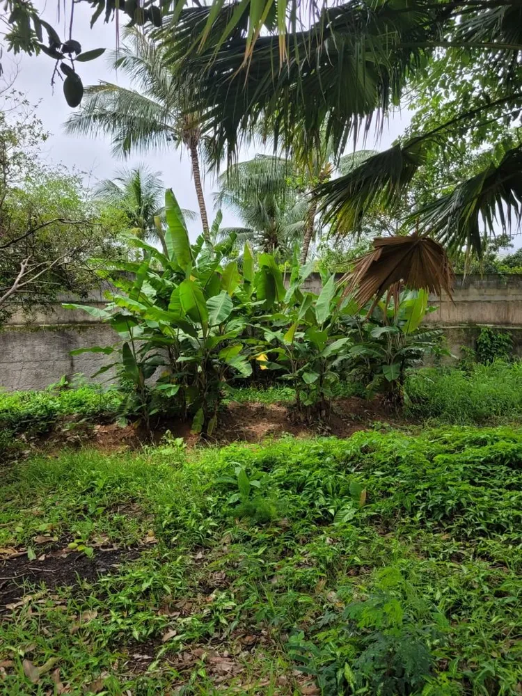 Terreno, 300 m² - Foto 18