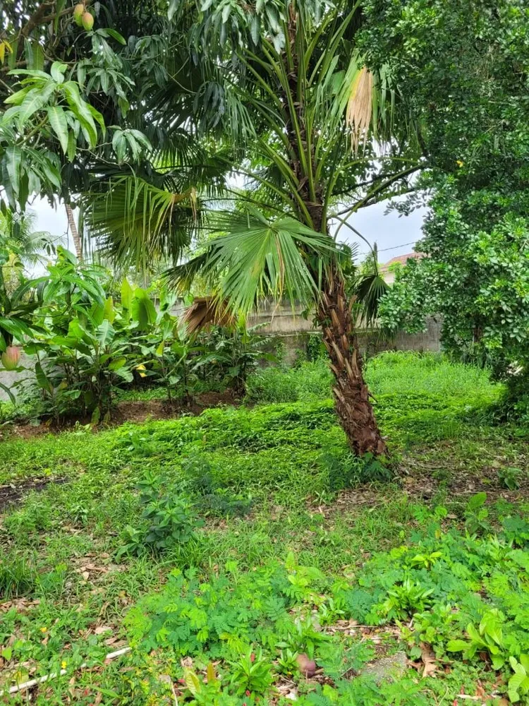 Terreno, 300 m² - Foto 1