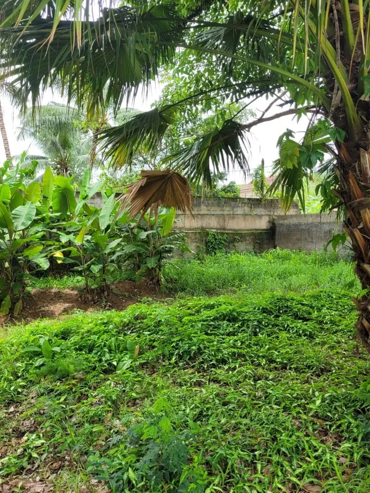 Terreno, 300 m² - Foto 5