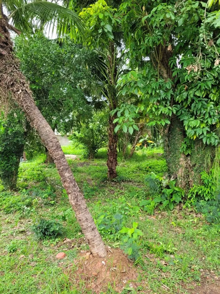 Terreno, 300 m² - Foto 14