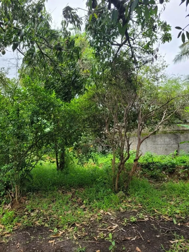Terreno, 300 m² - Foto 9