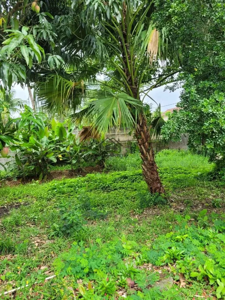 Terreno, 300 m² - Foto 2