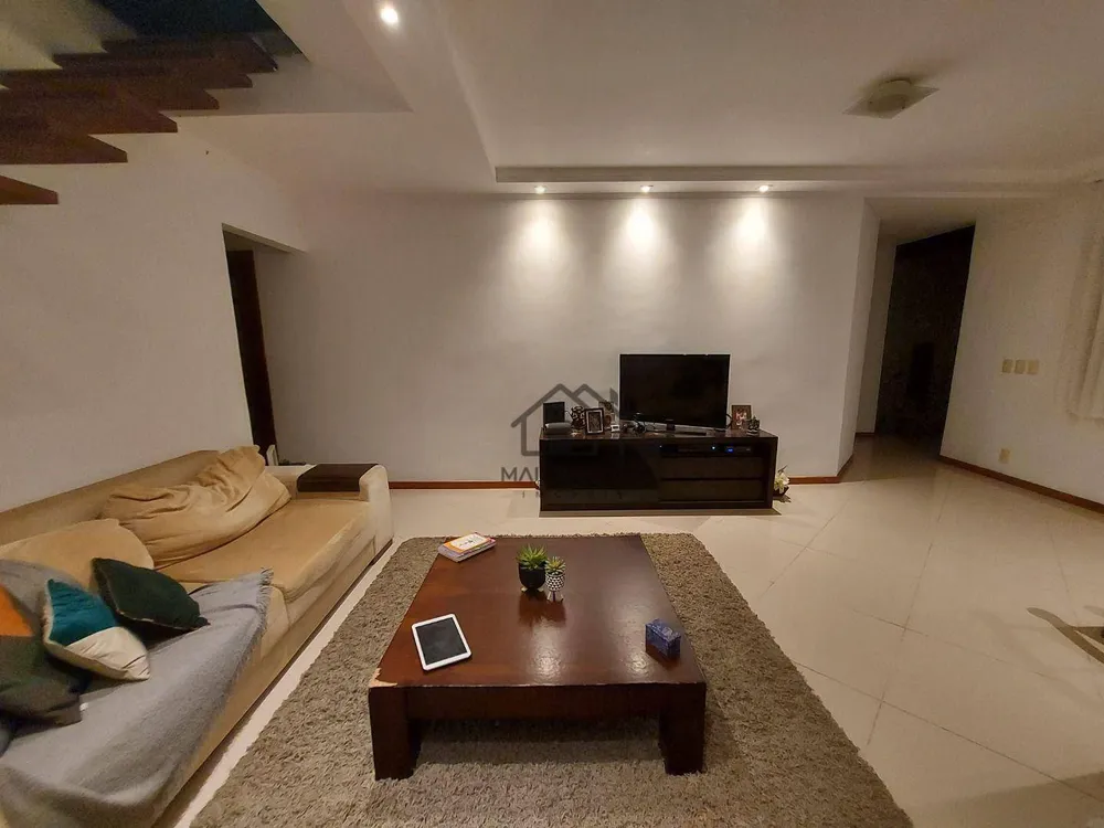 Casa, 4 quartos, 300 m² - Foto 32