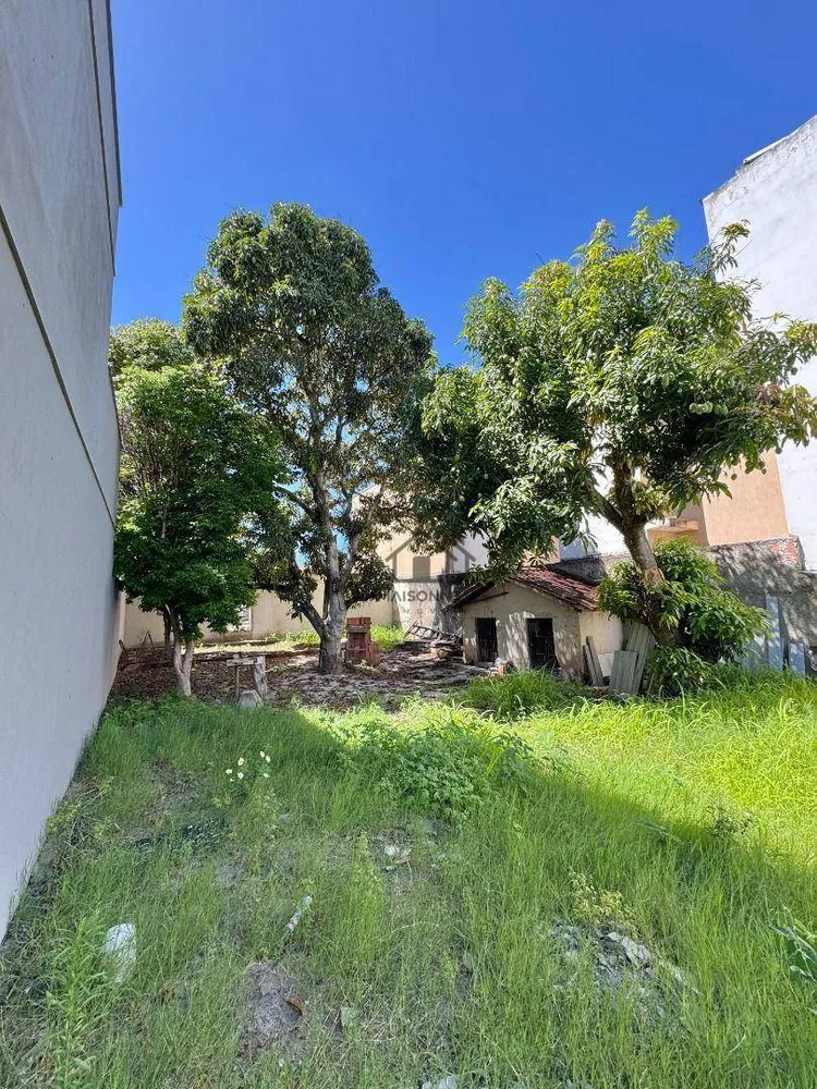 Terreno, 300 m² - Foto 5