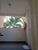 Apartamento, 2 quartos, 46 m² - Foto 5