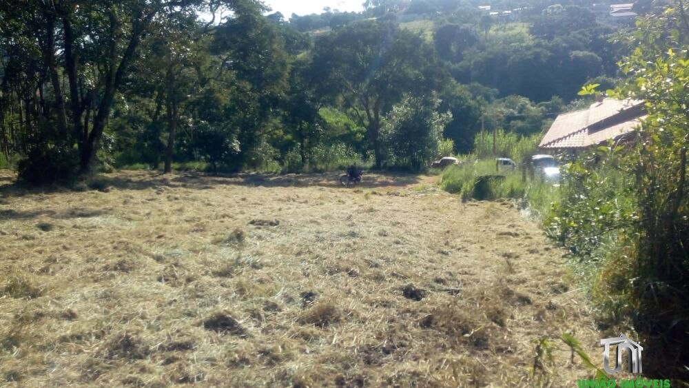 Terreno à venda, 2800m² - Foto 4