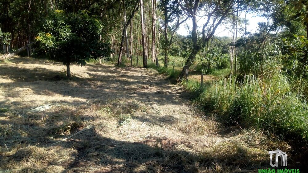 Terreno à venda, 2800m² - Foto 1