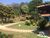 Chácara, 3 quartos, 10000 m² - Foto 2