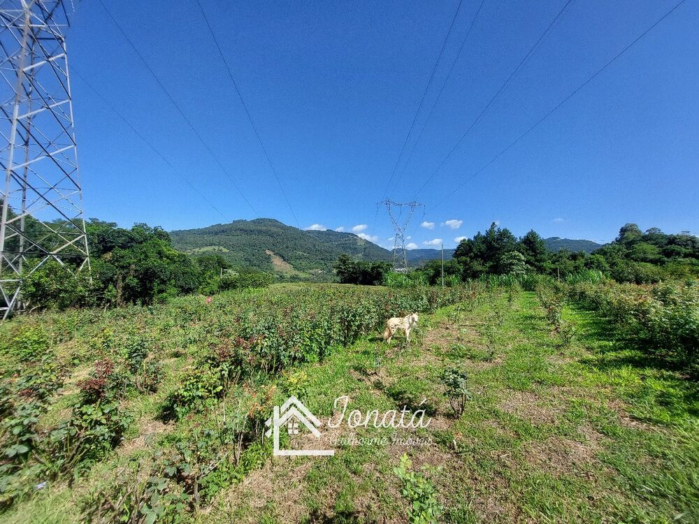 Chácara à venda com 2 quartos - Foto 1