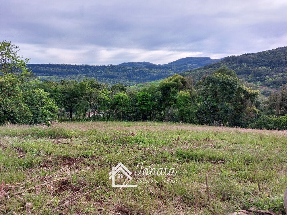 Haras e Área Rural Padrão à venda - Foto 1