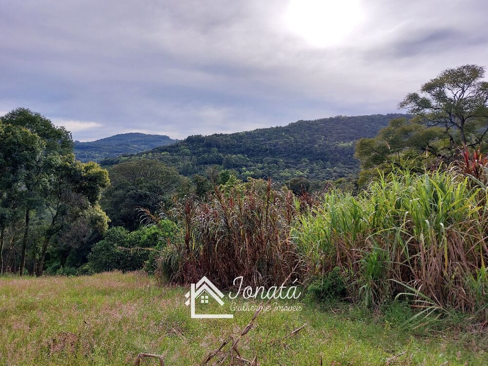 Haras e Área Rural Padrão à venda - Foto 2