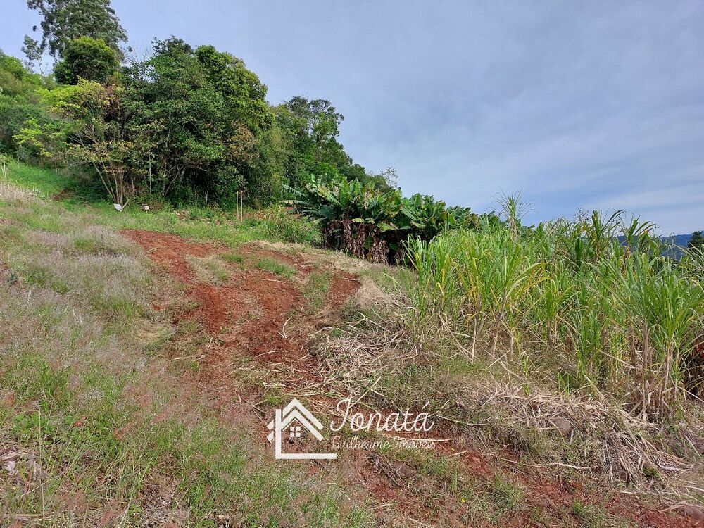 Haras e Área Rural Padrão à venda - Foto 4