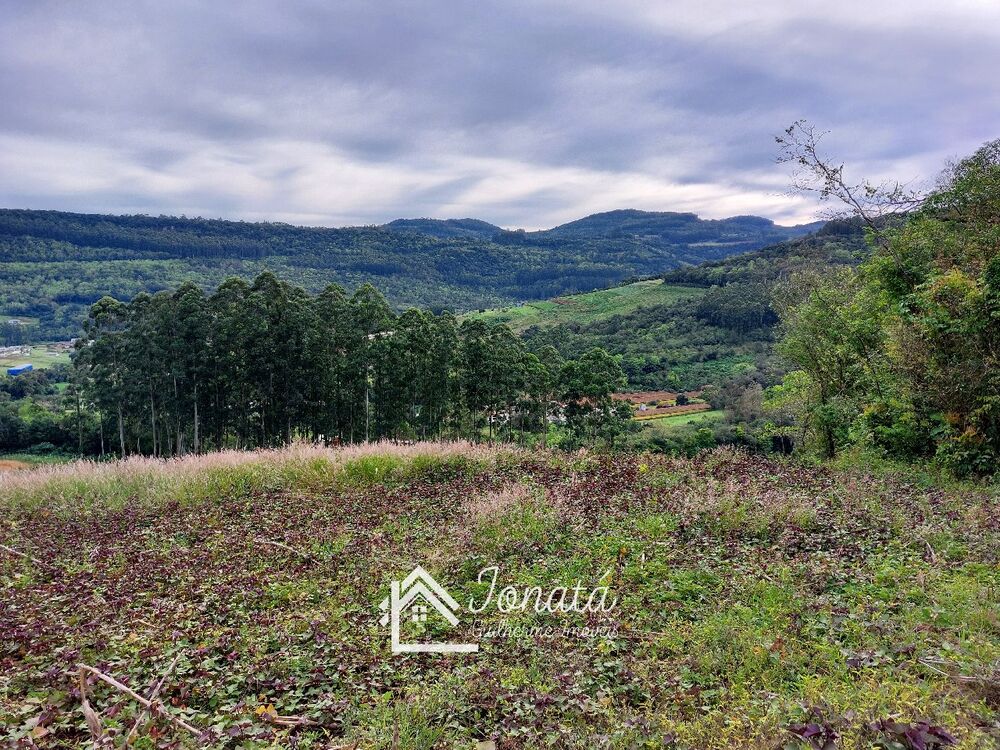 Haras e Área Rural Padrão à venda - Foto 7