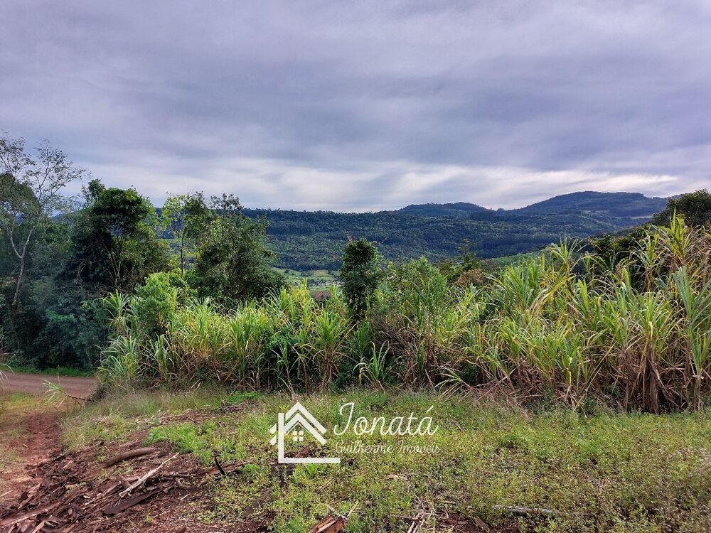 Haras e Área Rural Padrão à venda - Foto 5