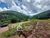 Terreno, 449 m² - Foto 6