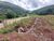 Terreno, 449 m² - Foto 8