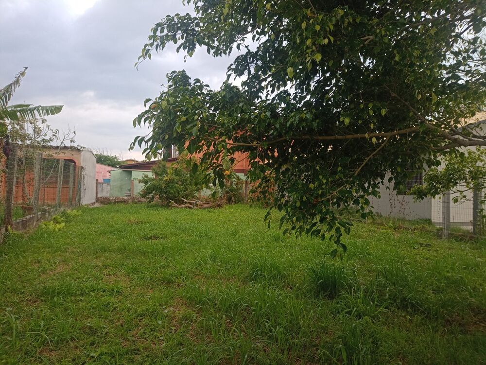 Terreno - Foto 3